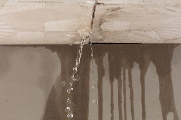Professional Sewage Cleanup technician working in Hewlett, NY